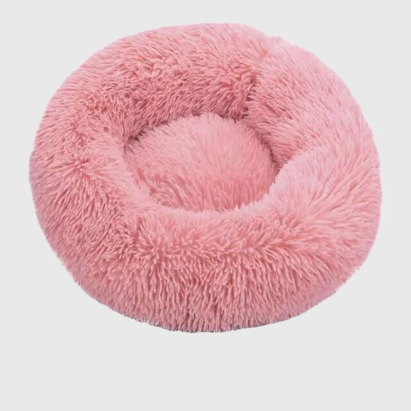 Coussin Orthopédique Mousse Mémoire Gros Chien