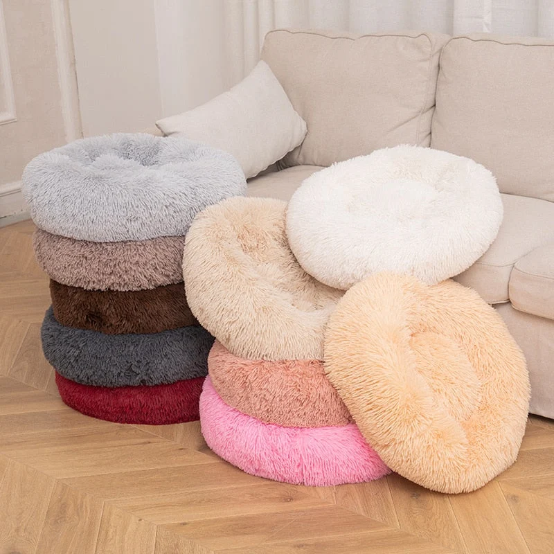 Coussin Orthopédique Mousse Mémoire Gros Chien