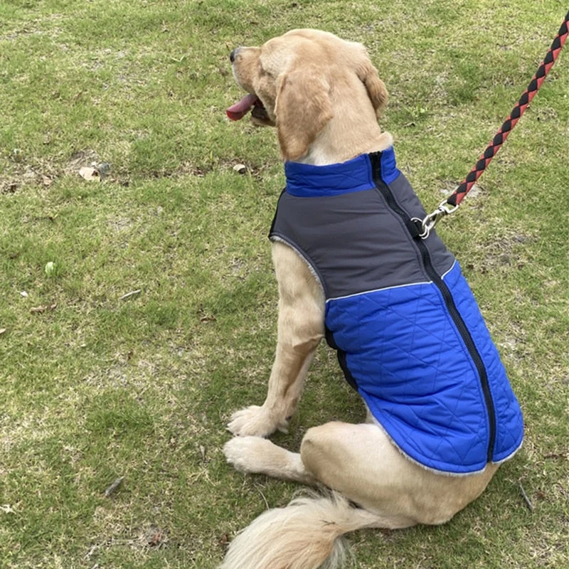 Manteau Polaire Hiver Gros Chien Chaud