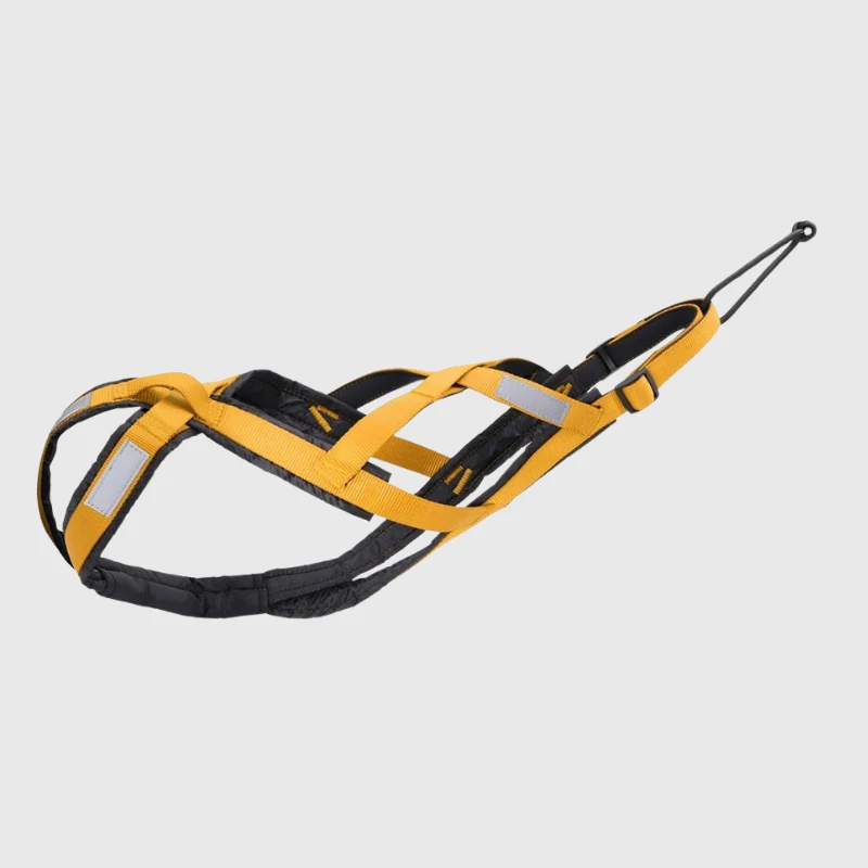 Harnais Canicross Ergonomique Gros Chien