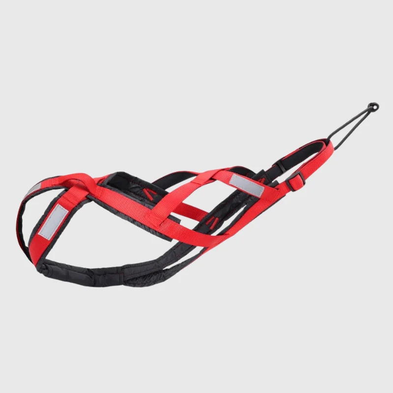 Harnais Canicross Ergonomique Gros Chien
