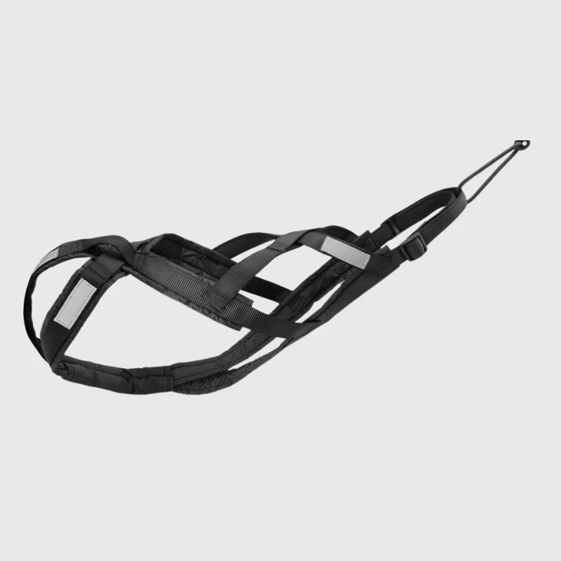 Harnais Canicross Ergonomique Gros Chien