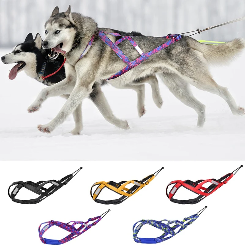 Harnais Canicross Ergonomique Gros Chien