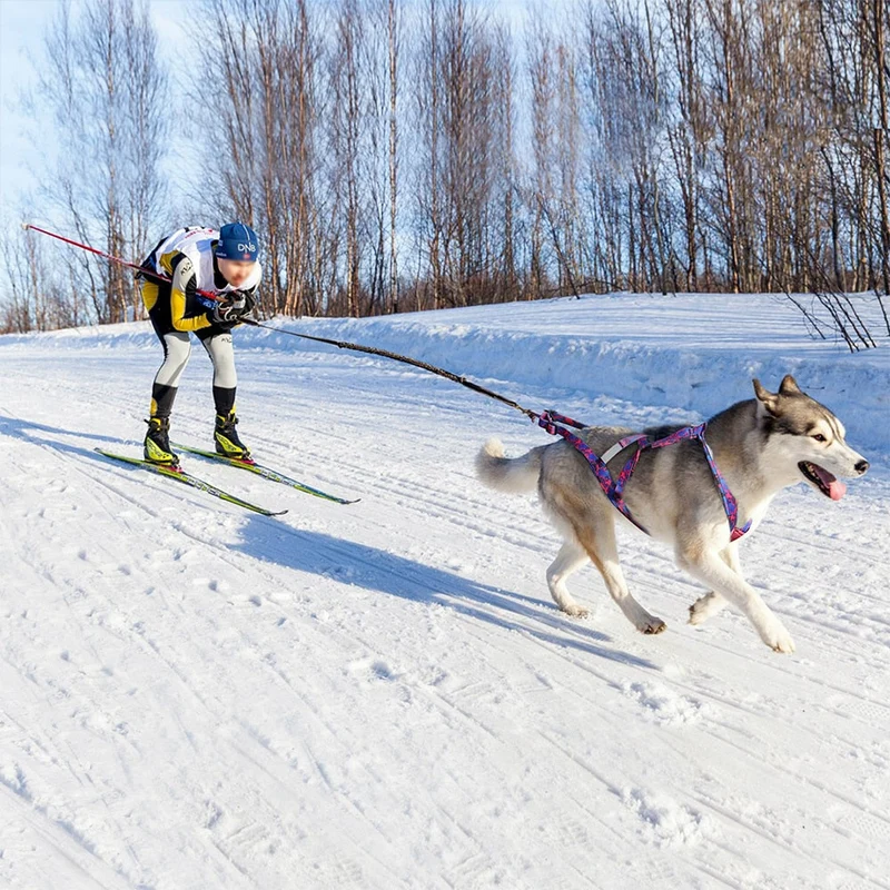 Harnais Canicross Ergonomique Gros Chien