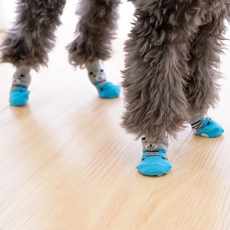 Chaussettes Antidérapantes Chien Senior Arthrose