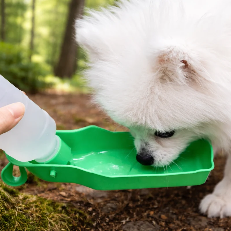 Biberon Distributeur Eau Gros Chien Promenade