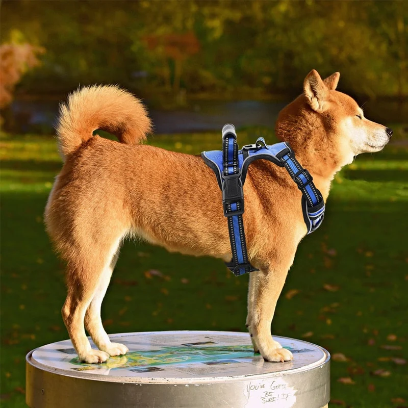 Harnais Anti-Traction T Gros Chien Nylon