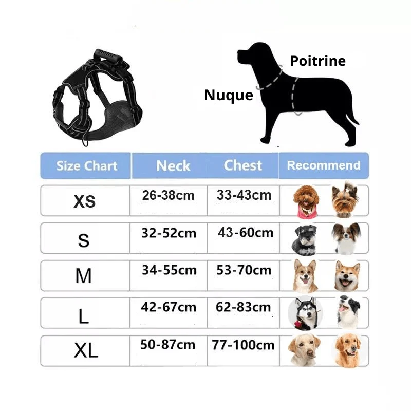 Harnais Anti-Traction T Gros Chien Nylon