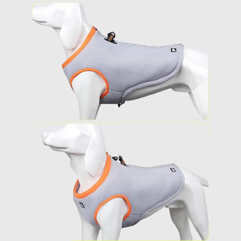 Gilet Rafraîchissant Été Gros Chien