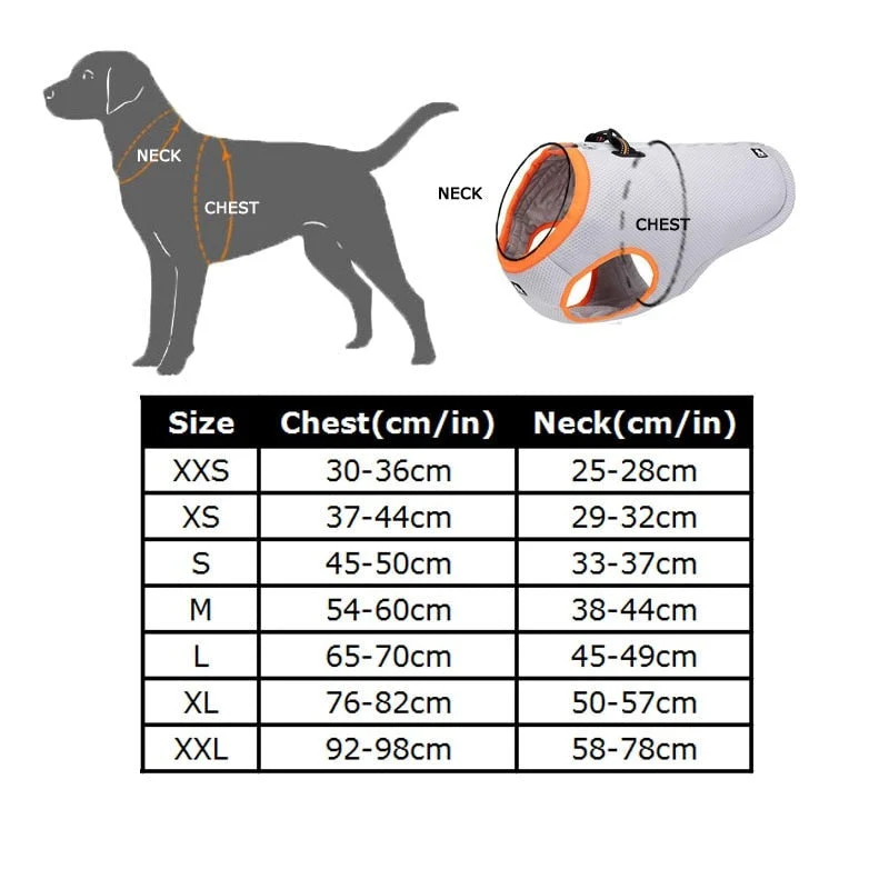 Gilet Rafraîchissant Été Gros Chien