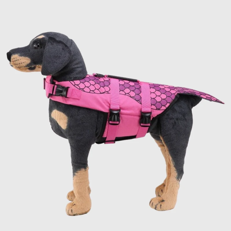 Gilet Sauvetage Flottant Motifs Gros Chien