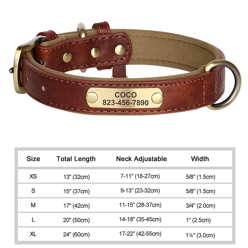 Collier Cuir Personnalisé Gravure Gros Chien