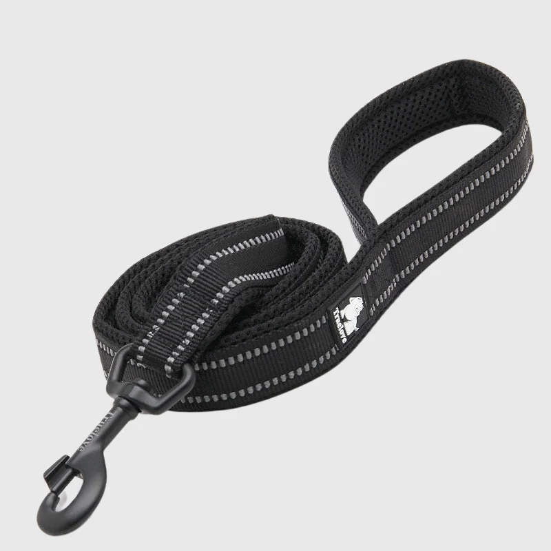 Laisse Éducation Nylon Renforcée Gros Chien