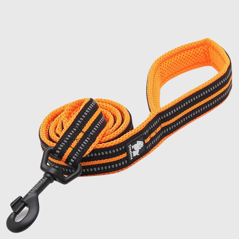 Laisse Éducation Nylon Renforcée Gros Chien