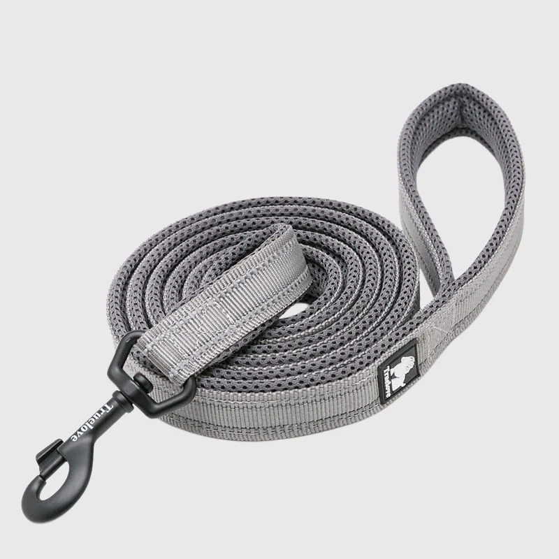 Laisse Éducation Nylon Renforcée Gros Chien