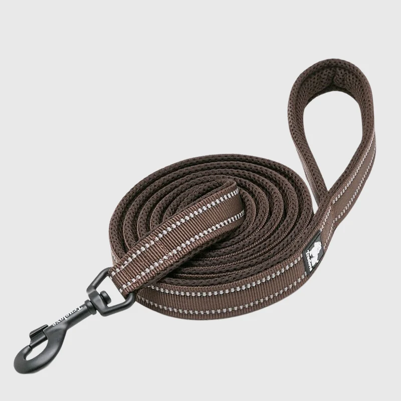 Laisse Éducation Nylon Renforcée Gros Chien