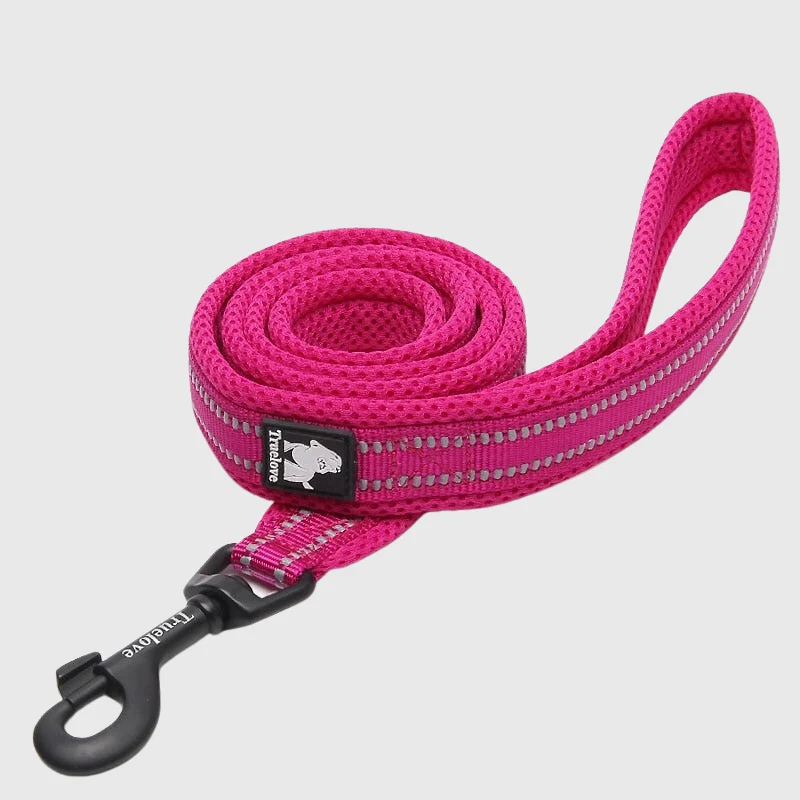 Laisse Éducation Nylon Renforcée Gros Chien