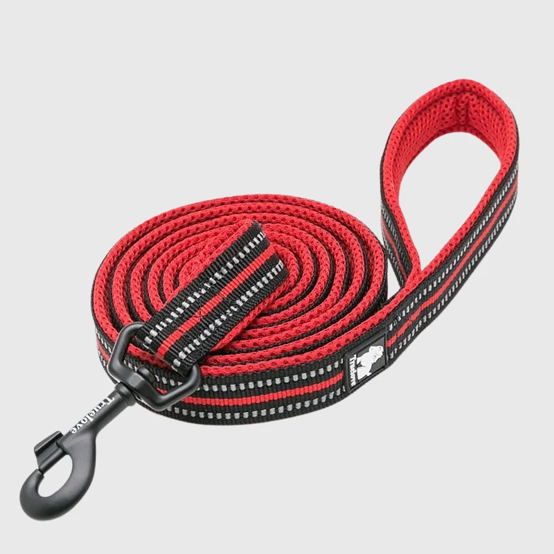 Laisse Éducation Nylon Renforcée Gros Chien