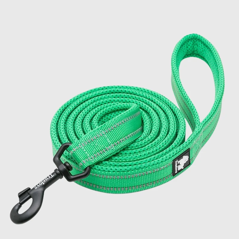 Laisse Éducation Nylon Renforcée Gros Chien