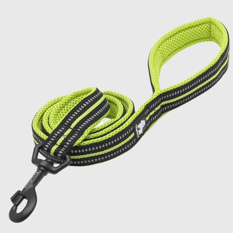 Laisse Éducation Nylon Renforcée Gros Chien