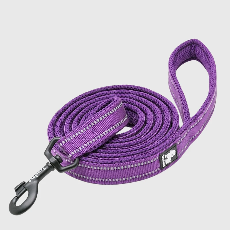 Laisse Éducation Nylon Renforcée Gros Chien