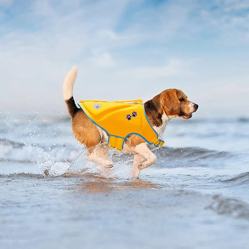 Gilet Sauvetage Flottant Jaune Gros Chien