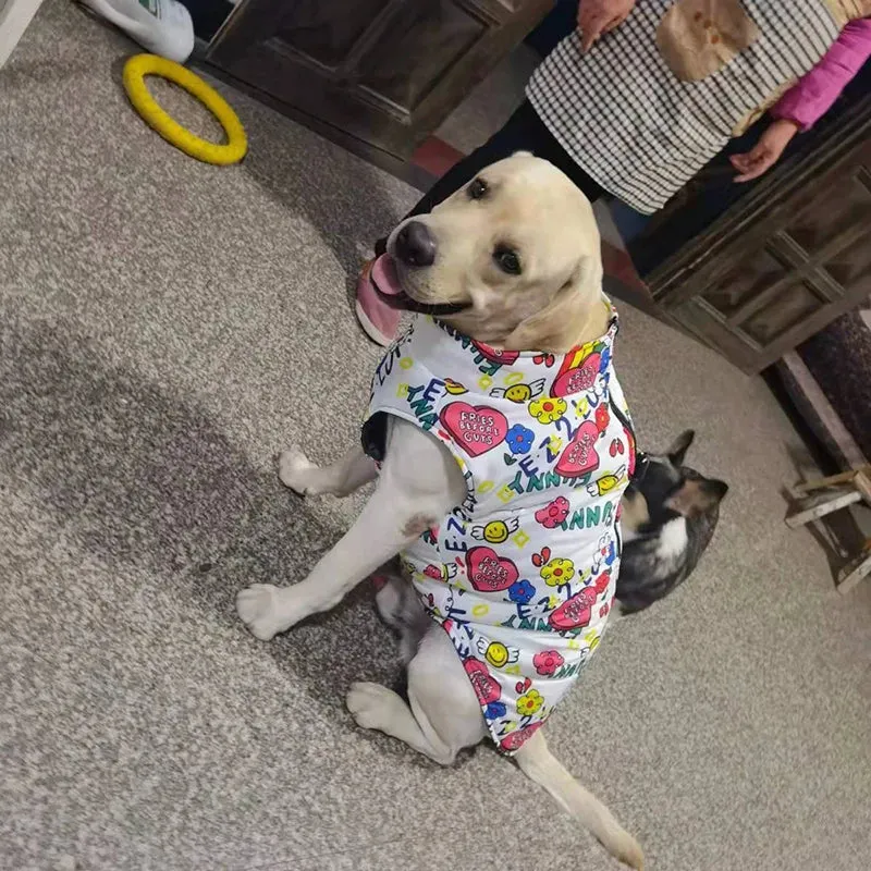 Veste Imperméable Boucle Traction Gros Chien
