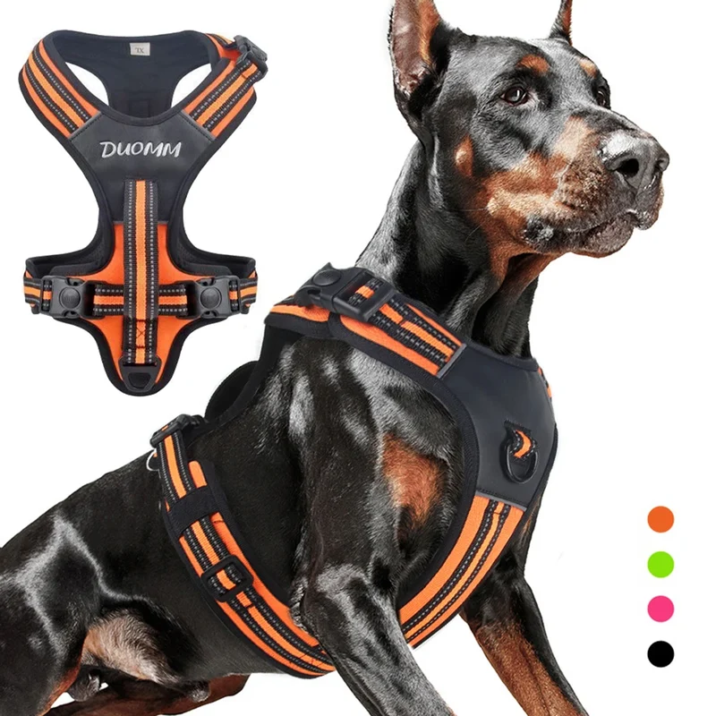 Harnais Robuste Pitbull Berger Labrador Gros Chien