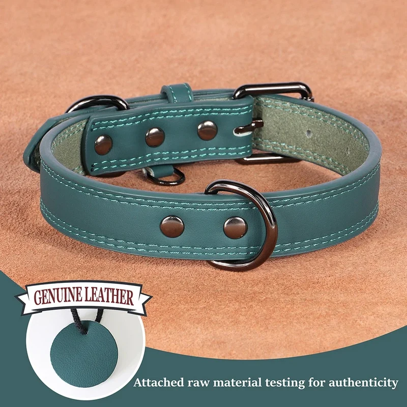 Collier pour chien en cuir véritable vert