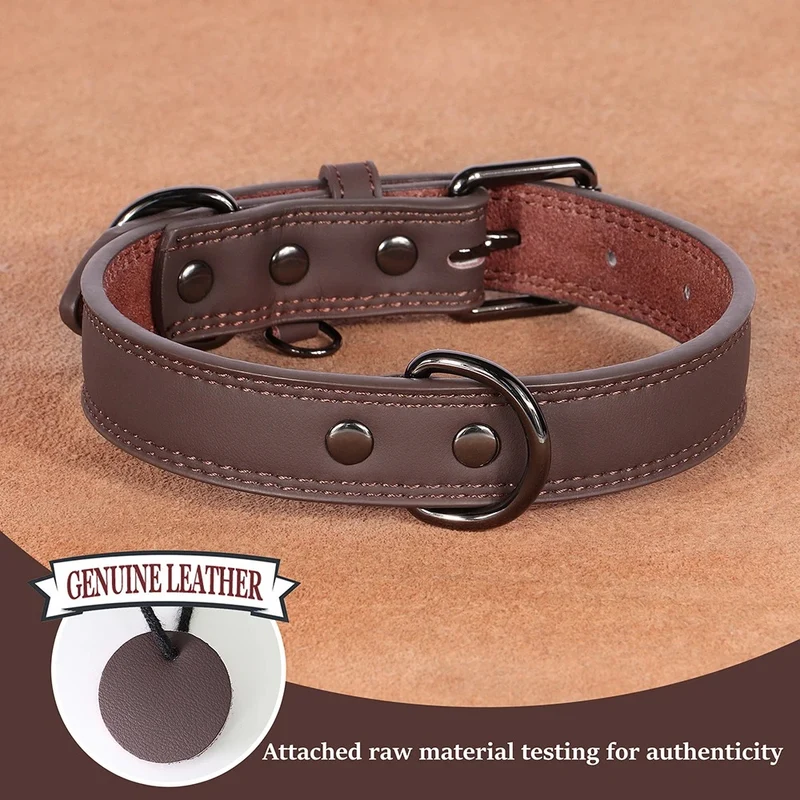 Collier pour chien en cuir véritable marron