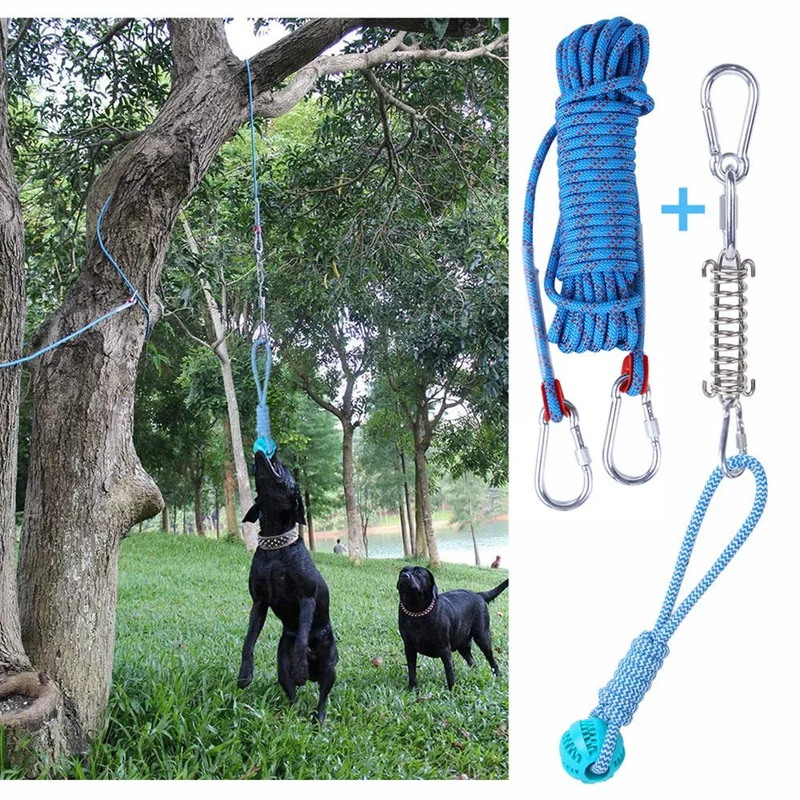 Spring pole chien