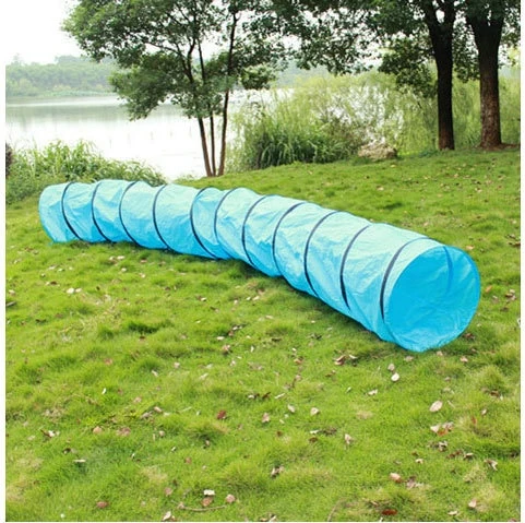 Tunnel agility chien