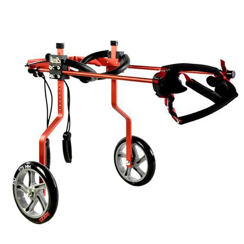 Chariot chien handicapé