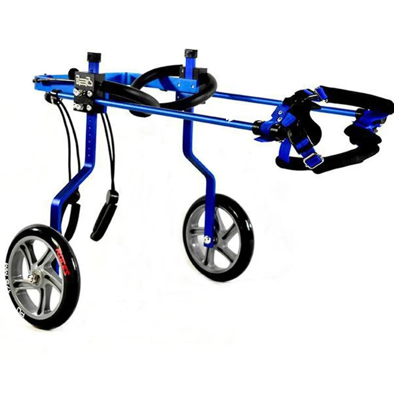 Chariot chien handicapé