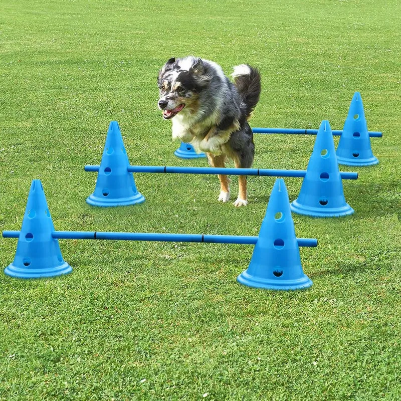 haie agility pour chien