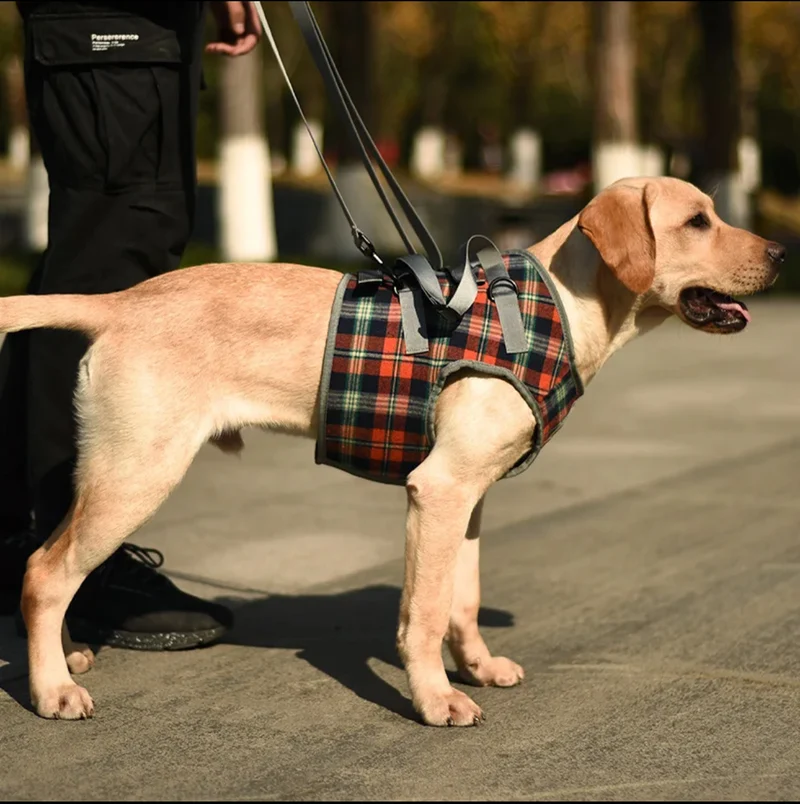 Harnais de soutien pour chien