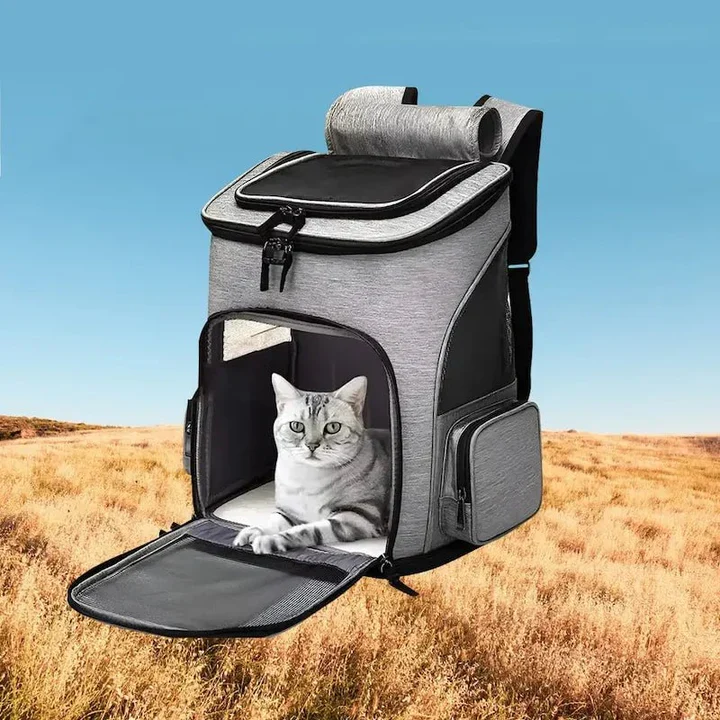 Pack première sortie – Tout pour des balades sereines avec votre chat
