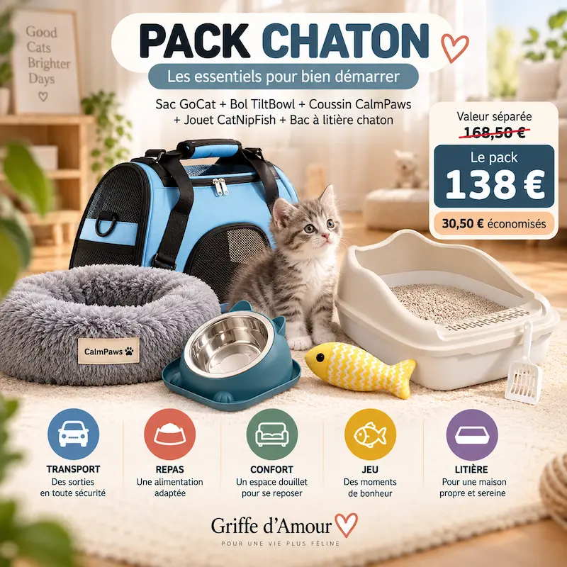 Pack premier chat – Tout l’essentiel pour bien l’accueillir