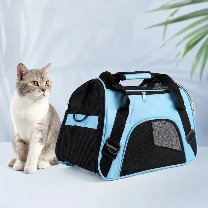 Pack premier chat – Tout l’essentiel pour bien l’accueillir