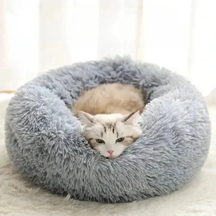 Pack premier chat – Tout l’essentiel pour bien l’accueillir