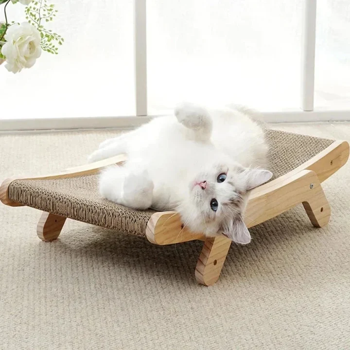 Pack premier chat – Tout l’essentiel pour bien l’accueillir