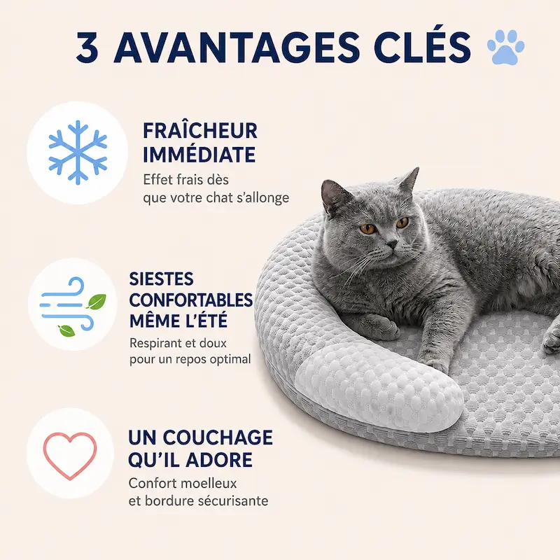 Coussin rafraîchissant chat en soie glacée – Été frais | ChillCat
