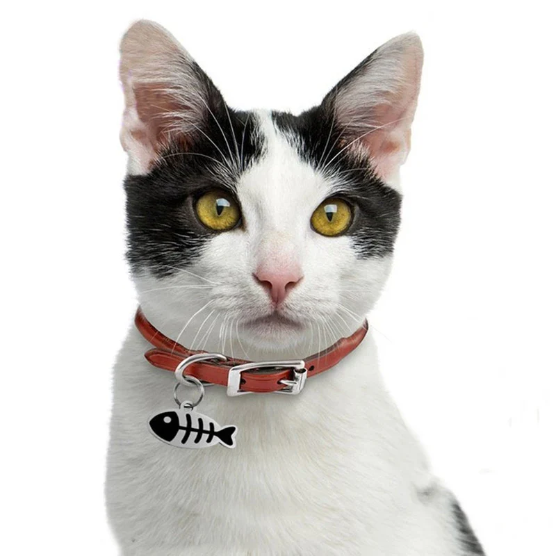 Médaille chat personnalisée arête de poisson