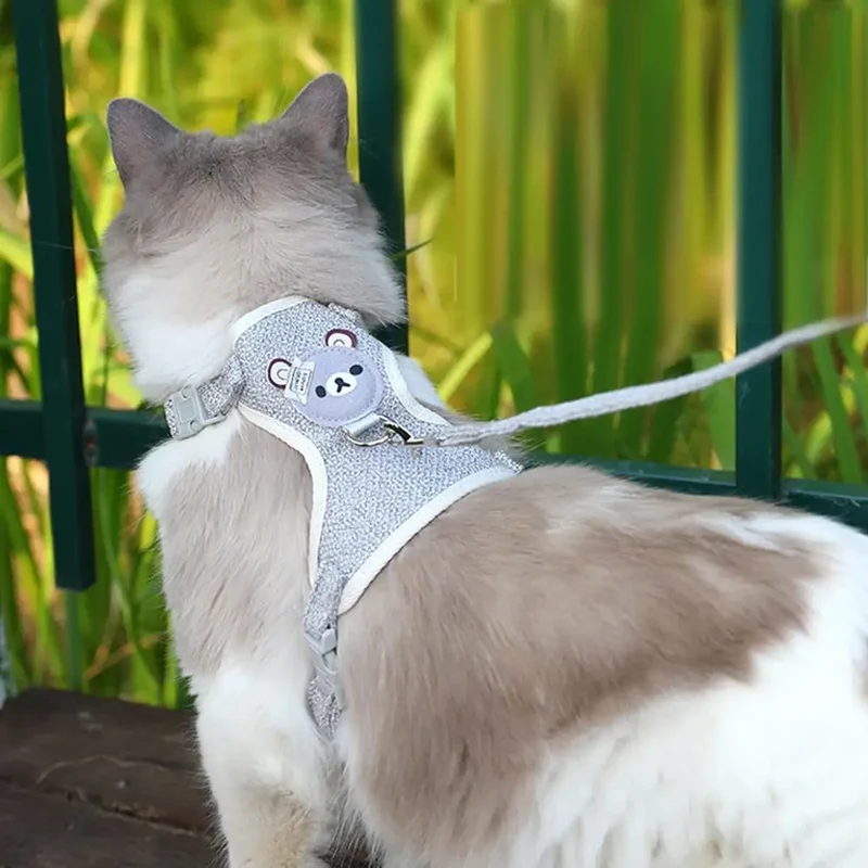 Harnais mignon pour chat