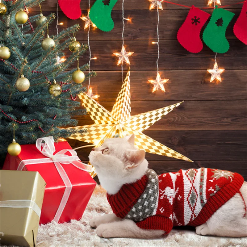 Pull d’hiver pour chat