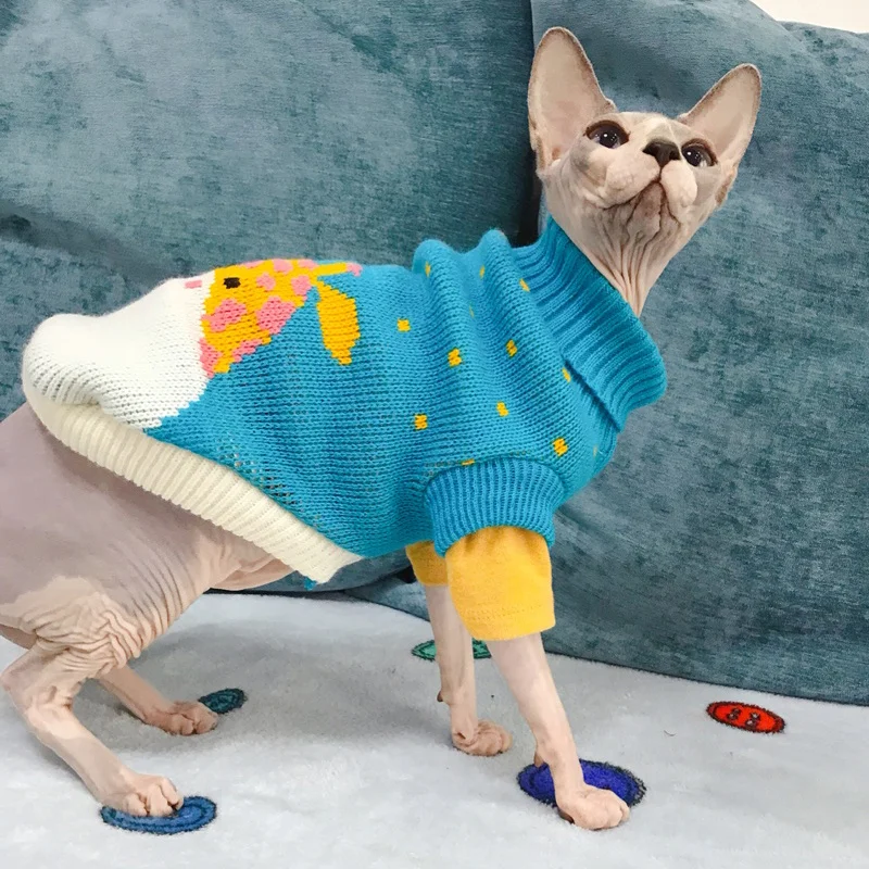 Pull d’hiver pour chat