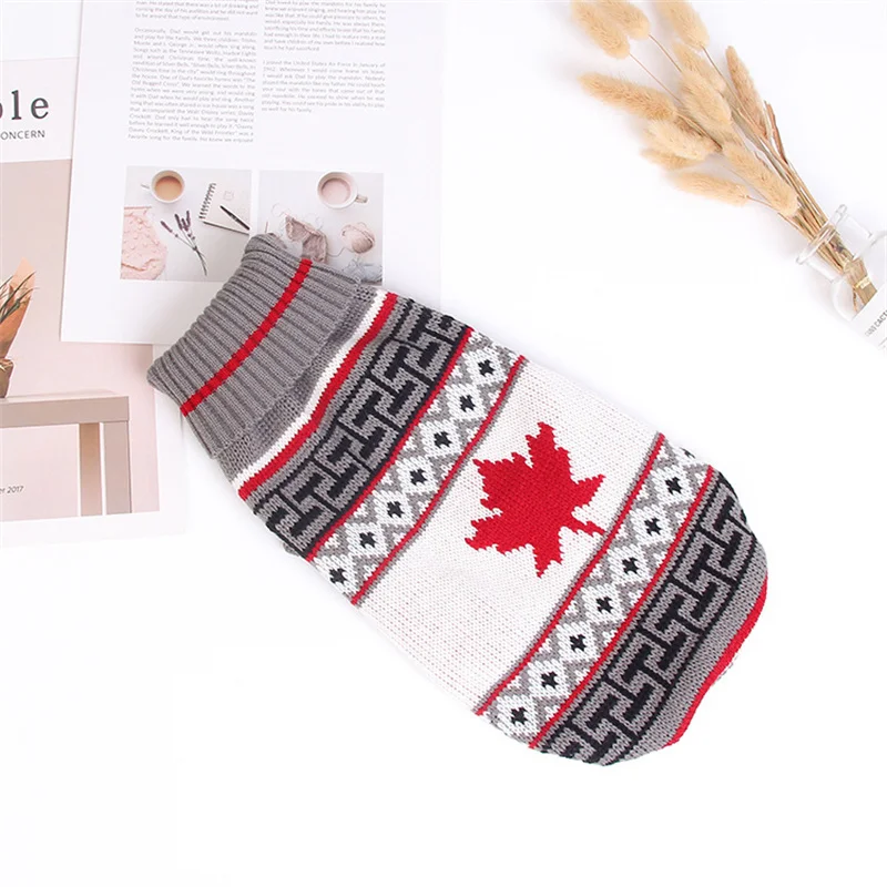 Pull d’hiver pour chat