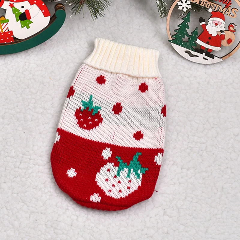 Pull d’hiver pour chat