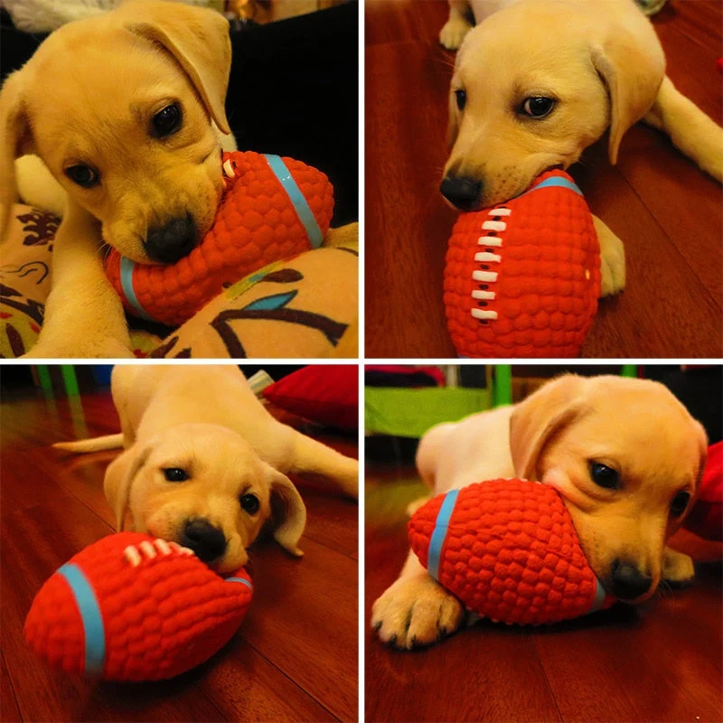 Balle Rugby Rebondissante Gros Chien
