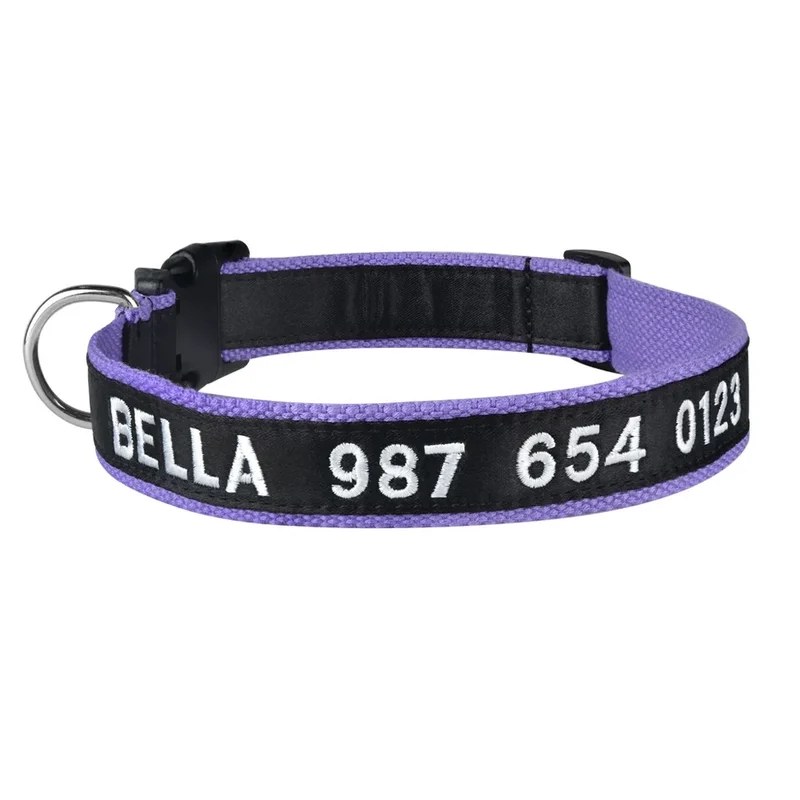 Collier d'identification pour chat